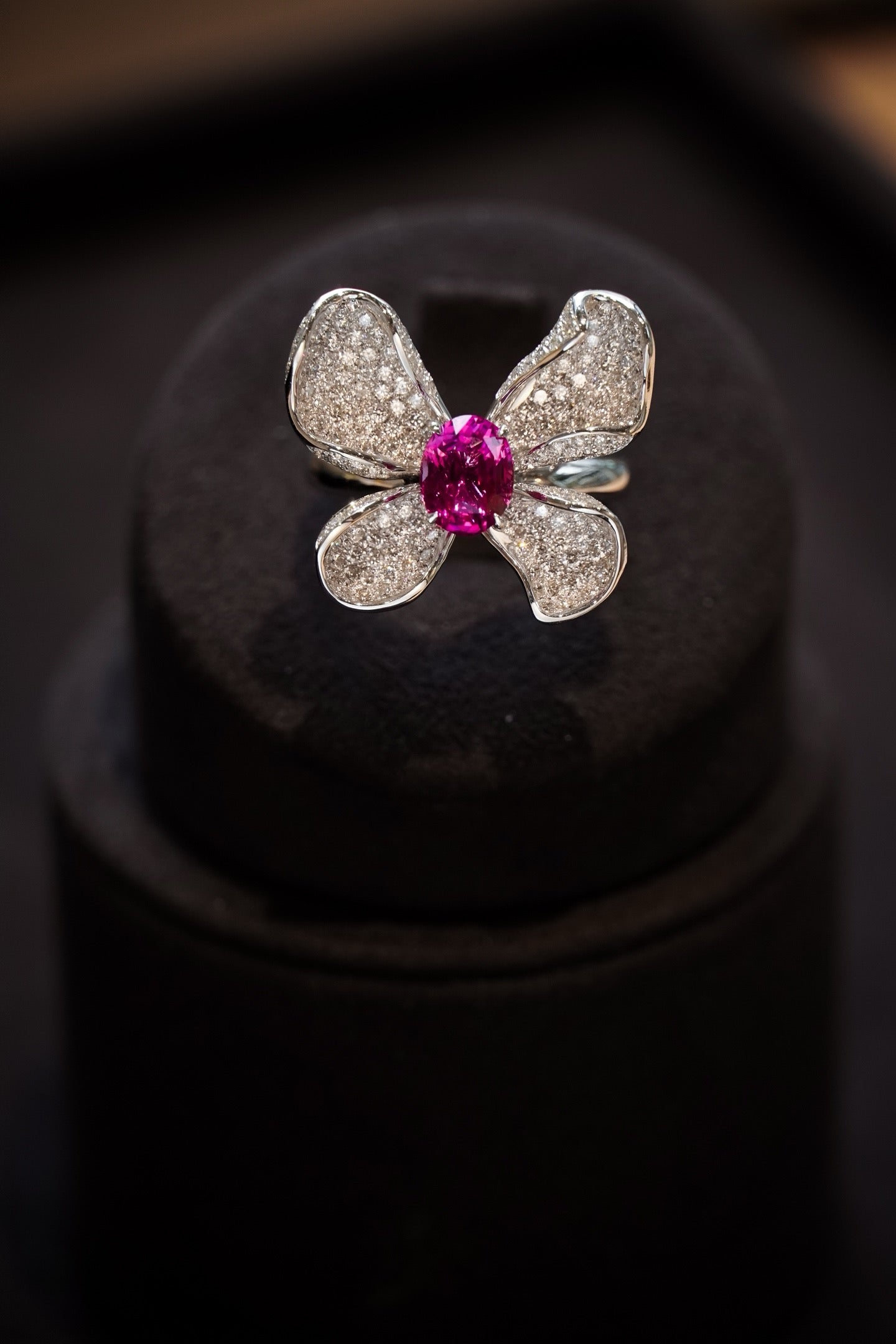 Serwa Jewellery | The Celestial Butterfly Ring