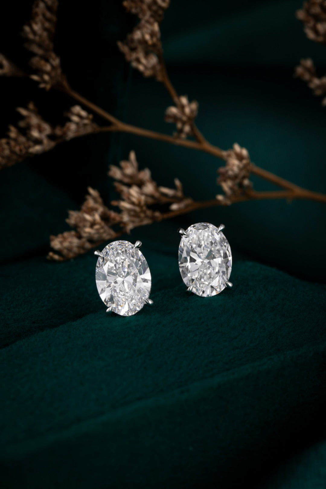 Serwa Jewellery | Pure Oval – PT900 Lab-Grown Diamond Stud Earrings