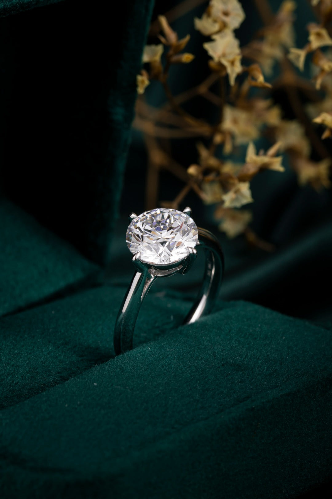 Serwa Jewellery | Pure Solitaire Statement – PT900 Lab-Grown Diamond Ring