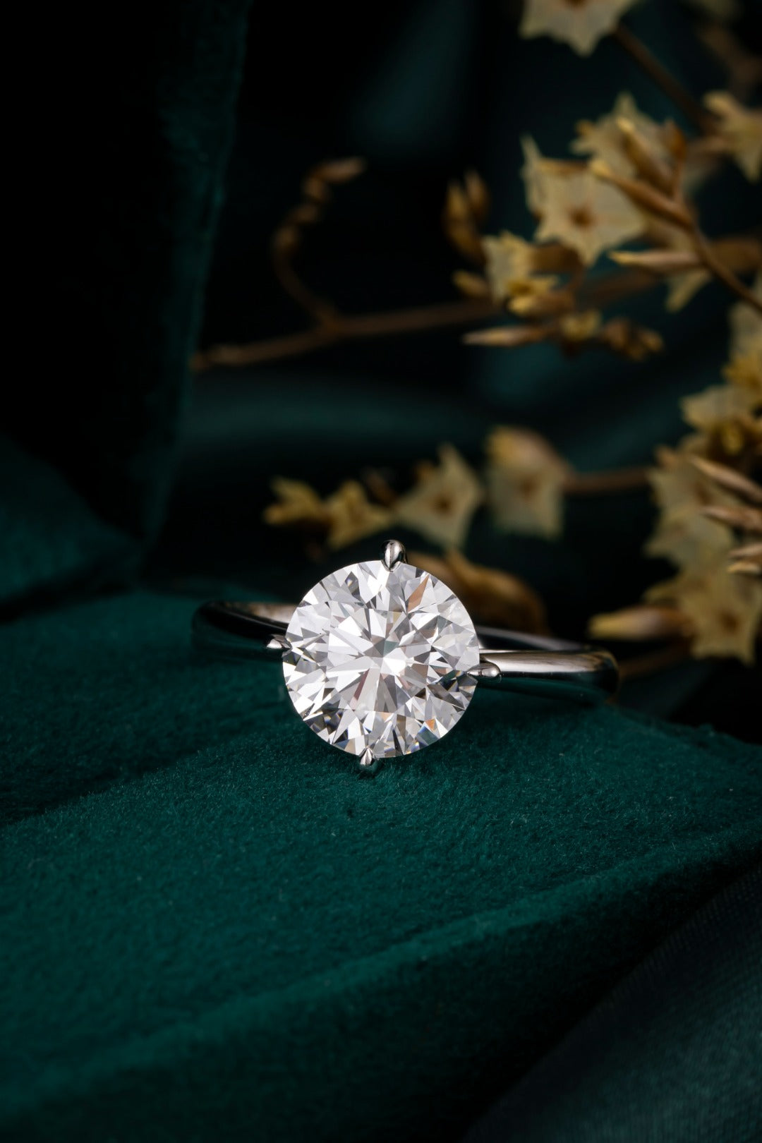 Serwa Jewellery | Pure Solitaire Statement – PT900 Lab-Grown Diamond Ring
