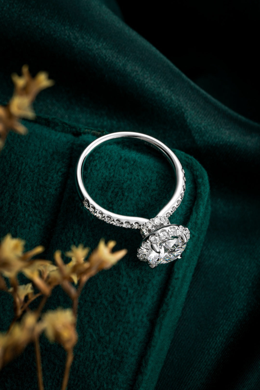 Serwa Jewellery | Eternal Halo – PT900 Lab-Grown Diamond Ring