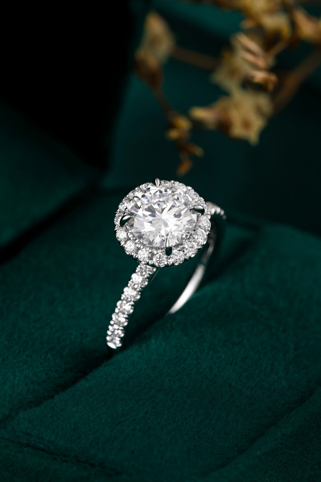 Serwa Jewellery | Eternal Halo – PT900 Lab-Grown Diamond Ring
