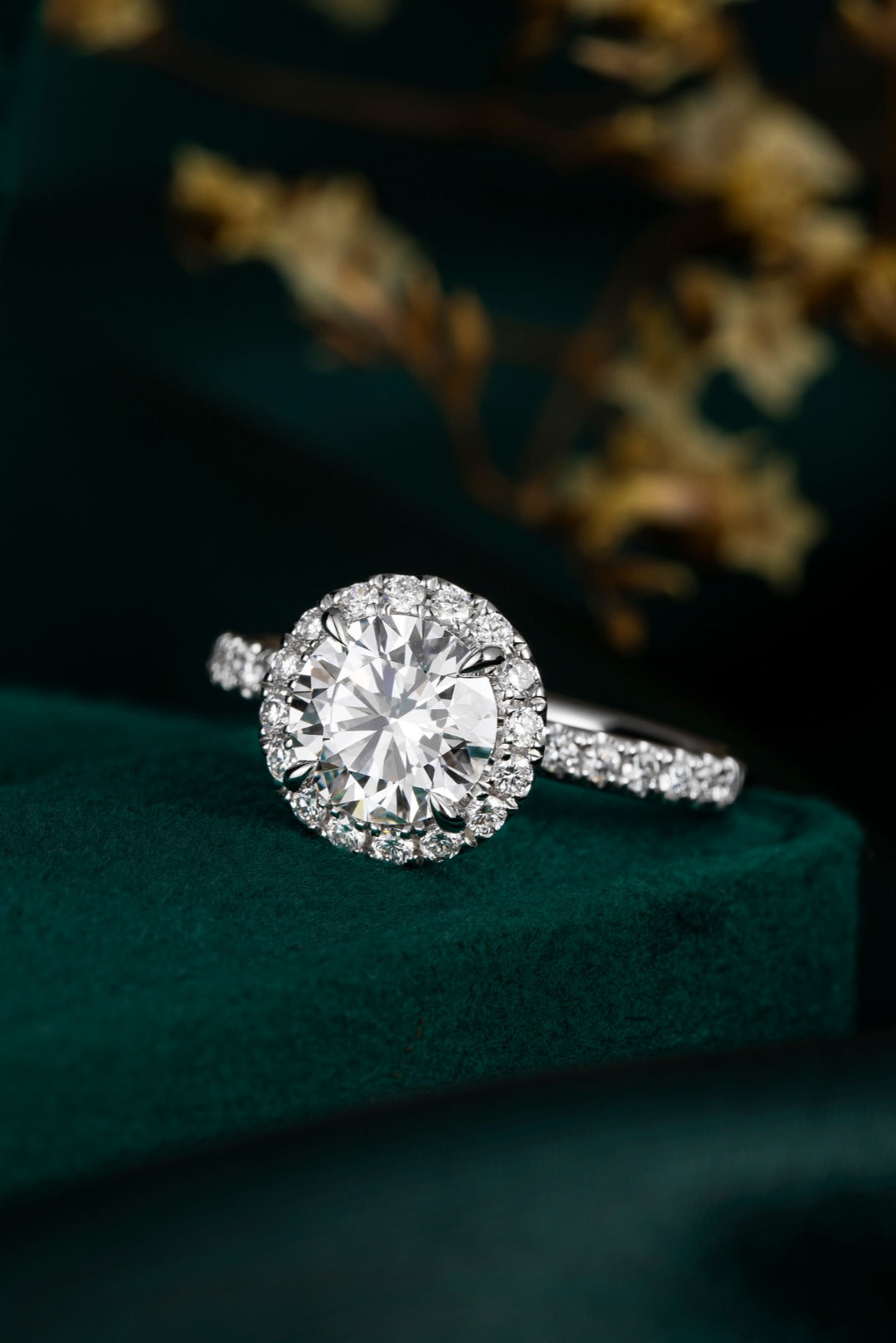 Serwa Jewellery | Eternal Halo – PT900 Lab-Grown Diamond Ring