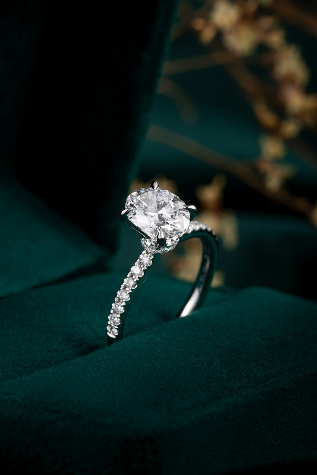 Serwa Jewellery | Classic Pavé Solitaire – PT900 Lab-Grown Diamond Ring