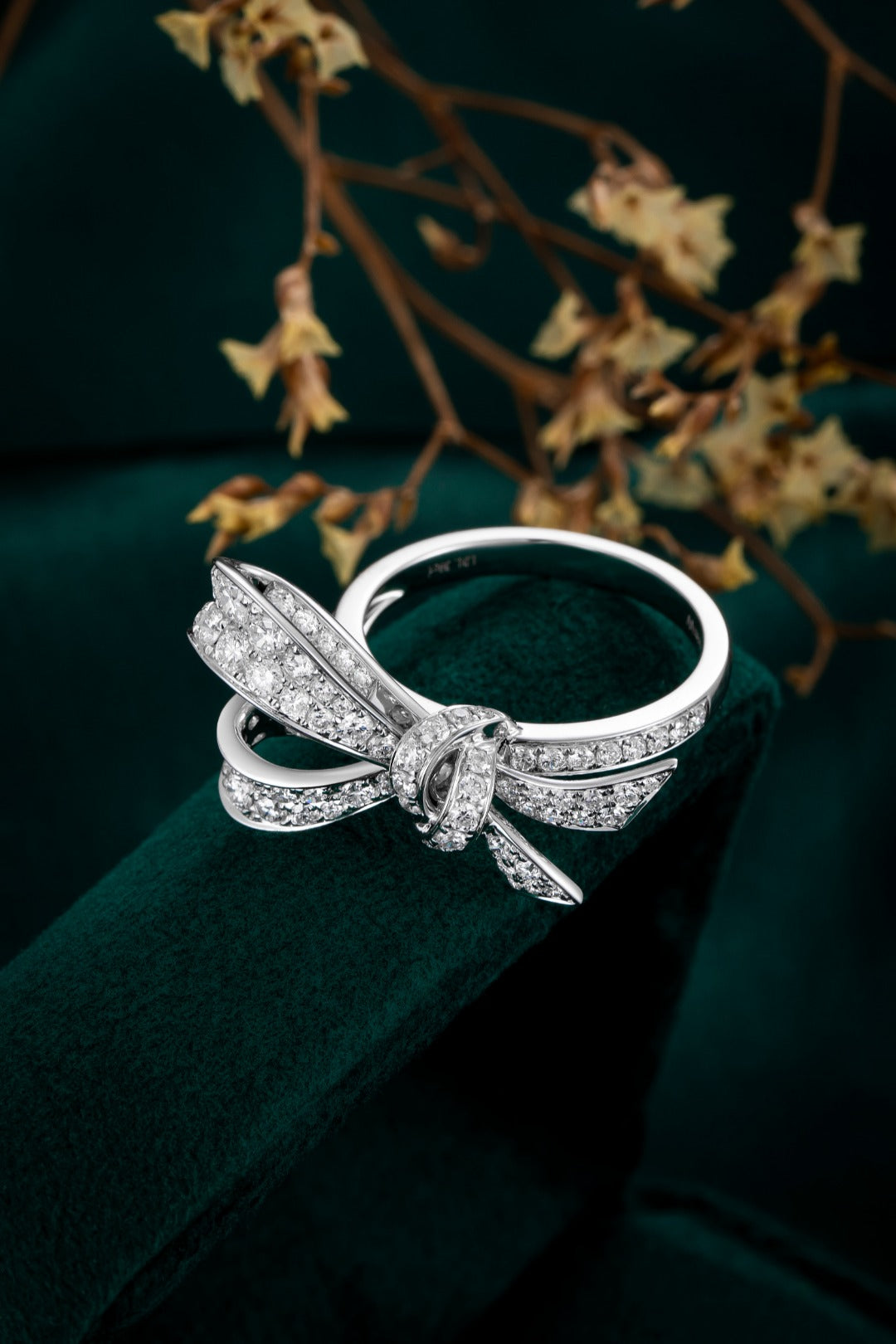 Serwa Jewellery | Sculpted Bow – 14K Lab-Grown Diamond Ring