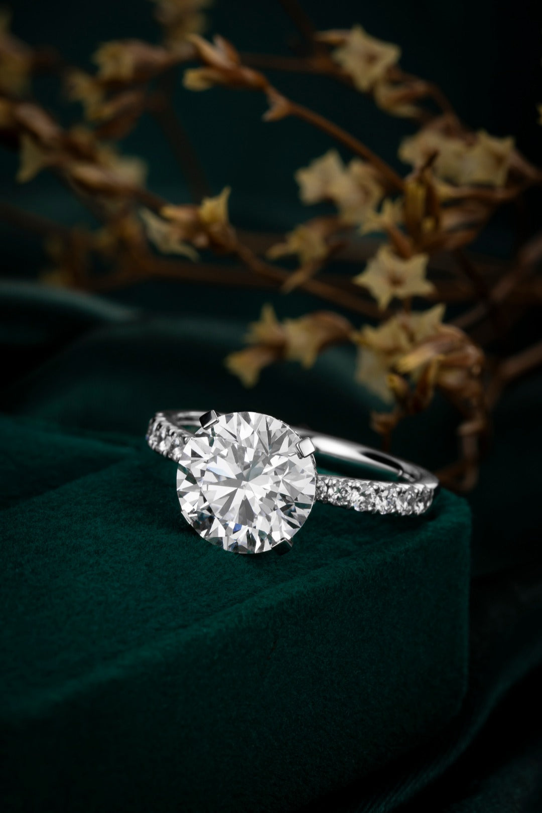 Serwa Jewellery | Eternal Poise – PT900 Lab-Grown Diamond Ring